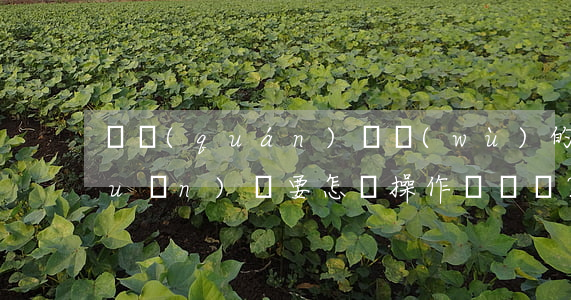 債權(quán)債務(wù)的轉(zhuǎn)讓要怎樣操作？